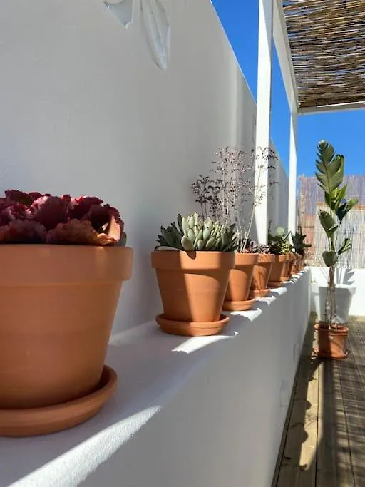 Casawolhao Liberdade Maison De Pecheur Avec Toit-Terrasse 0*, Olhao Portugal
